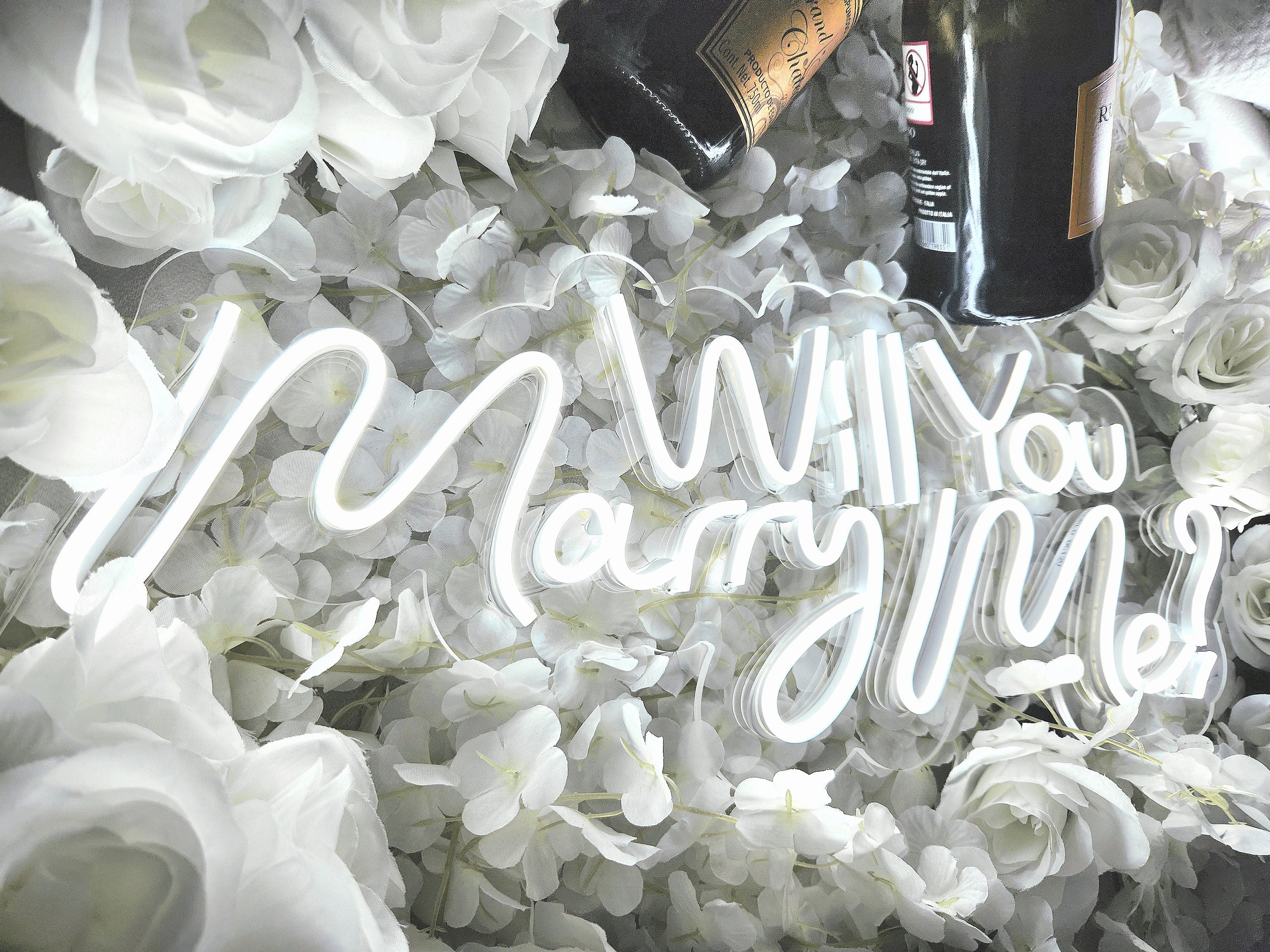 Will You Marry Me Neon Sign
